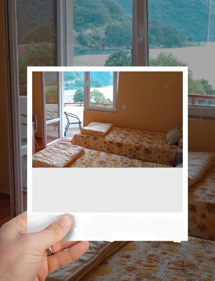 Studio Apartman D&S Pluzine Luaran gambar